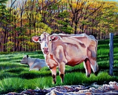 cow in pasture